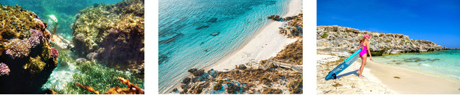 【アフターコロナの旅の予習　西オーストラリア州最新情報！】世界一しあわせな動物“クオッカ”のお墨付き！コンシャストラベルにぴったりなエコアイランド「ロットネスト島」のサブ画像8
