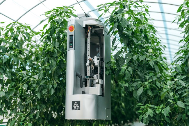 農業ロボット開発のAGRIST株式会社は経済産業省「J-Startup2021」に選定されましたのサブ画像3_ピーマン自動収穫ロボット「L」