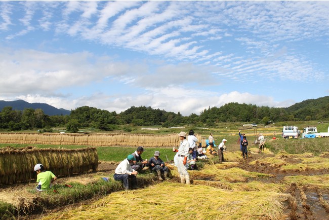 “食”を通して社会や人々を繋ぐ。長野県SDGs推進企業の「清水製粉工場」が、2021年10月より本社と飯山支店において「アスエネ」の再エネ100％電力を導入。のサブ画像3