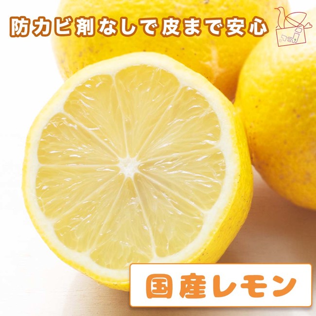 定期便で日本の食料自給率アップを応援！自給率10％前後の国産レモンのネット販売をスタート。のサブ画像2