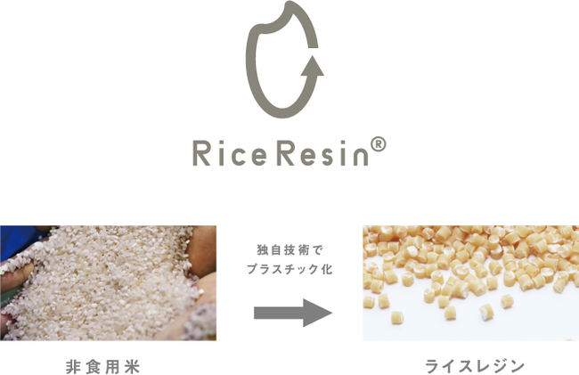コバオリ株式会社が、日本ならではのお米を使った事業に参入しＳＤＧｓに貢献！のサブ画像1