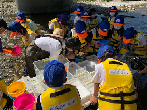 瀬戸内海と日本海の違いって？兵庫の海で学ぶ「豊かな海の秘宝を探せ！ひょうごシーレンジャー【瀬戸内海編】」を開催しました！のサブ画像4