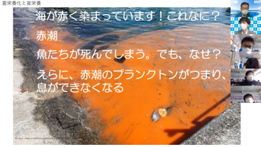 香川県⇔奈良県のオンライン授業海の”栄養塩”問題がテーマの謎解きを使った事前ワークと四国水族館によるオンライン出前授業を開催しました！のサブ画像6
