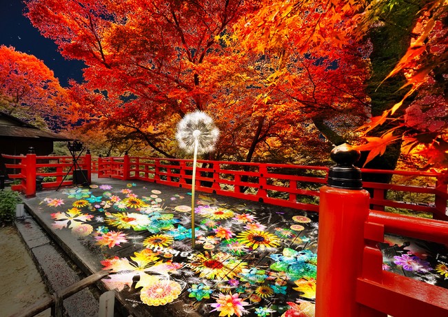 この秋、京都が、平和への願いを届けるアート『DANDELION PROJECT』で繋がるのサブ画像4