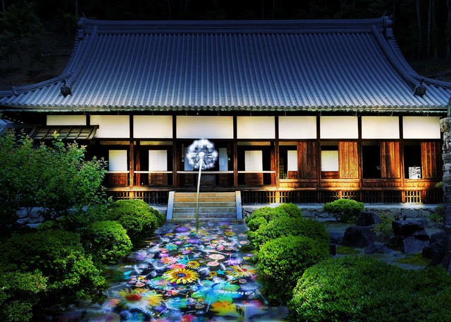 この秋、京都が、平和への願いを届けるアート『DANDELION PROJECT』で繋がるのサブ画像6