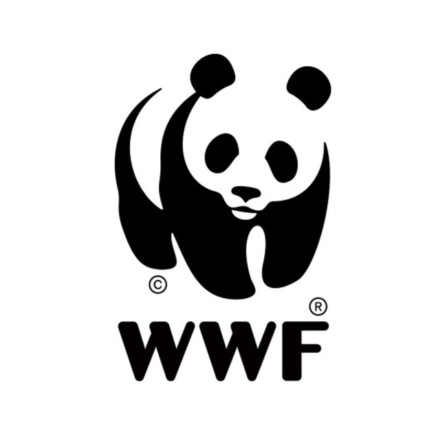 【エシカルジュエリーHASUNA × WWFジャパン公式PANDA SHOP】パンダ柄！？貝殻とK18ゴールドのエシカルネックレスを発売のサブ画像5