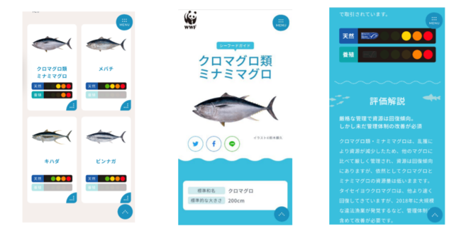 「おさかなウェブサイト」公開ーー水産物の持続可能性を スマホで手軽にチェック のサブ画像2