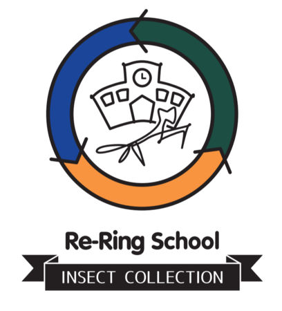 香川照之プロデュース『Insect Collection（インセクトコレクション）』は3周年！自然教育絵本『INSECT LAND（インセクトランド）』はアニメ化も決定！のサブ画像2