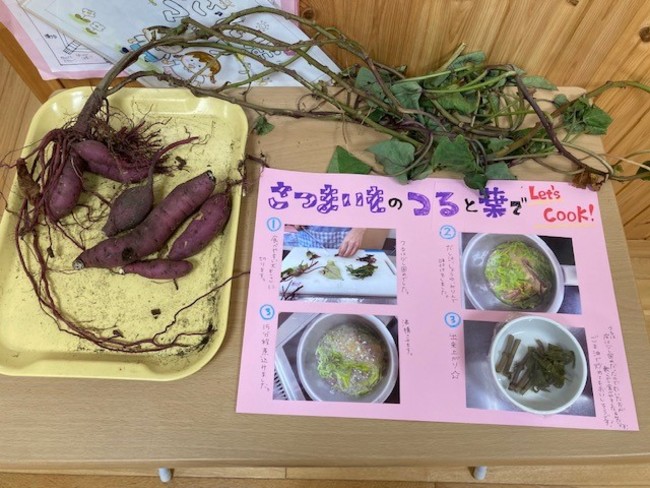 保育園児と楽しくSDGs体験、「食品ロス」について楽しく学習のサブ画像6_＜捨てがちなサツマイモのつると葉を活用する方法を紹介＞