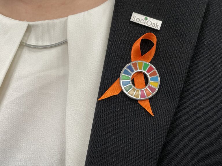 【11月は児童虐待防止推進月間】明日葉が、子ども虐待防止の「オレンジリボン運動」支援企業として登録されましたのメイン画像