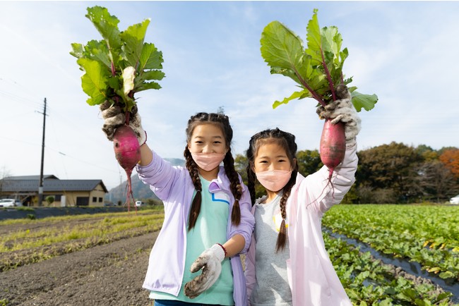 【こどもスマイリング・プロジェクト】エシカル消費を学ぶ職業体験型食育プログラム「有機野菜農場で農業学習～持続可能な農業を未来に～」を開催のサブ画像6