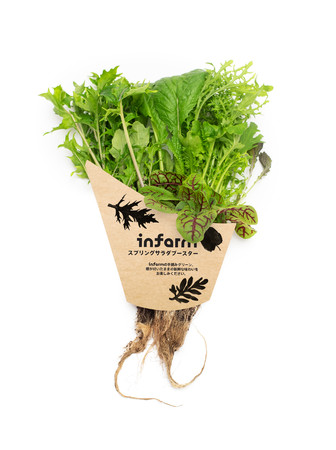 都市型農場野菜「Infarm（インファーム）」新たに紀ノ国屋国立店での販売が決定！～2種のサラダブースターとイタリアンバジルを展開～のサブ画像1