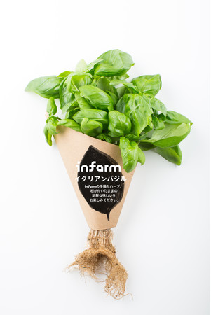 都市型農場野菜「Infarm（インファーム）」新たに紀ノ国屋国立店での販売が決定！～2種のサラダブースターとイタリアンバジルを展開～のサブ画像3