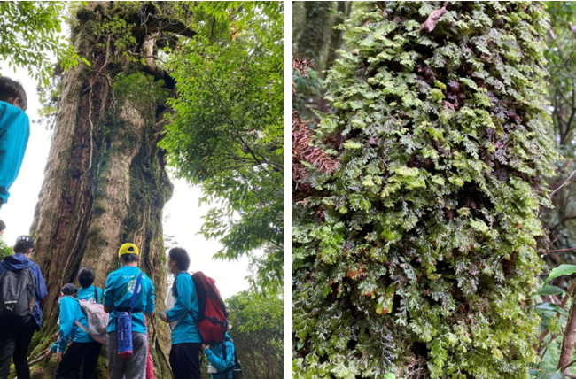 世界自然遺産「屋久島」で地元の小学生が森とつながる豊かな海を学ぶ！『われはうみの子探検隊～世界自然遺産の海～』を開催しました！のサブ画像3