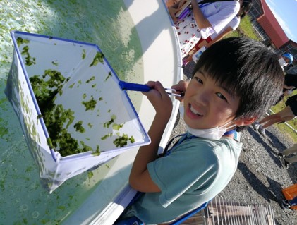アオサノリを復活させよう！小学生が徳島の海を調査し７つのオリジナルレシピを開発する「よみがえれ！ぼくたちのアオサノリ 発表会」開催しました！のサブ画像2