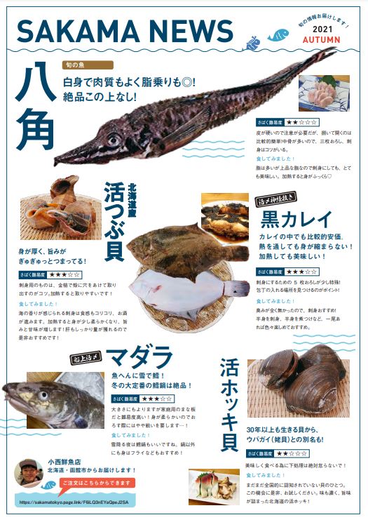 SAKAMA、お魚と一緒に全国の魚の情報を楽しめる【SAKAMA NEWS】を創刊！のメイン画像