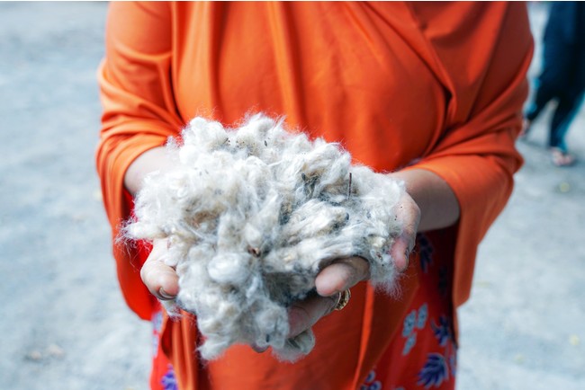 【マザーハウス】インドネシアのカポック綿×インドのカディ生地。ヒトにも地球にも優しい天然素材のぬいぐるみを発売。のサブ画像7_木の実から取り出したばかりのカポックの綿（インドネシア）