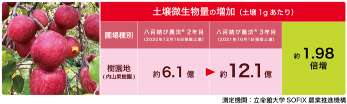 八百結び農法®《実証実験レポート》前年から更に倍増！青森りんご農園、“八百結び農法®３年土壌”から土壌総微生物量が1gあたり12億個を超え検出！のメイン画像