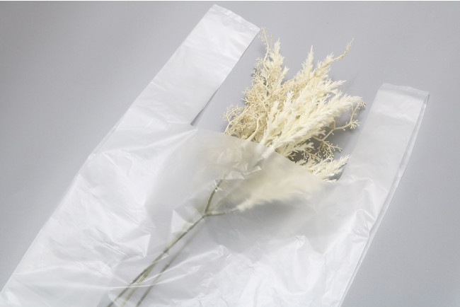 二酸化炭素の排出量を抑える「nocoo（ノク－） バイオマスプラレジ袋」を来春発売のサブ画像1_nocoo バイオマスプラレジ袋
