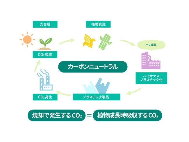 二酸化炭素の排出量を抑える「nocoo（ノク－） バイオマスプラレジ袋」を来春発売のサブ画像2_カーボンニュートラルの仕組み