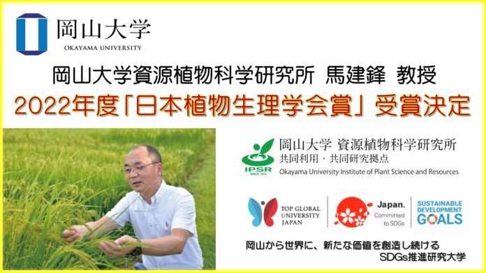 【岡山大学】資源植物科学研究所の馬建鋒教授が「日本植物生理学会賞」受賞決定！のメイン画像