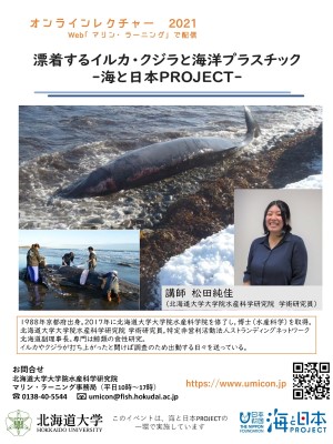 オンライン講義『漂着するイルカ・クジラと海洋プラスチック-海と日本PROJECT-』を開催しました！のメイン画像