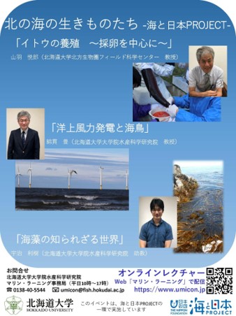 オンライン講義『北の海の生きものたち-海と日本PROJECT-』を開催しました！のメイン画像