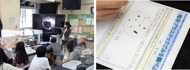 渋谷区立常磐松小学校で「海と日本PROJECT 海洋プラごみについて考えよう！」を開催しました！のサブ画像3