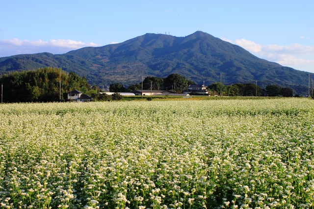 「滞在型アウトドア施設・森と蔵 in 桜川市（仮称）」の開発および地方創生二地域居住プロジェクトの立ち上げを発表。ヴァリとグランドデザインが業務提携。のサブ画像8