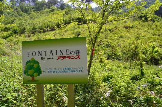 ＜フォンテーヌ緑の森スマイル活動＞地球環境保護を目的としたアデランスSDGs・CSR活動を実施　静岡県立森林公園に140本のアカマツを植樹のサブ画像5