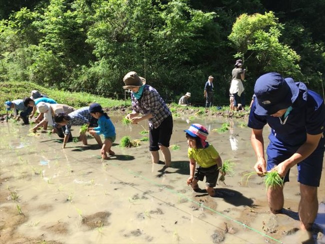「日本自然保護大賞2022」の授賞者が決定！のサブ画像3