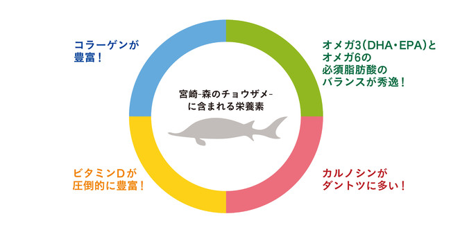 SDGs食材 希少な国産「九州＜宮崎産チョウザメ＞100％使用」魚の旨さを熟知した老舗魚屋がつくるサステナブルなペットフードのサブ画像6