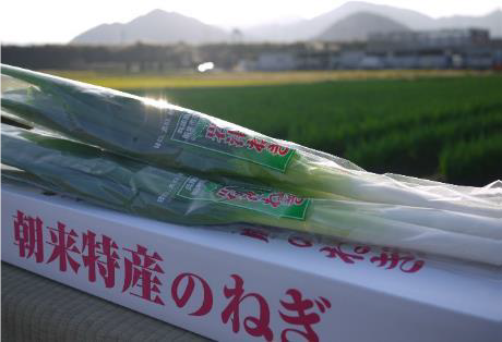 【ブーランジェリーアン】兵庫県の生産者さまとのコラボレーション！！日本三大ねぎの一つ「岩津ねぎ」・兵庫県の新品種の苺「あまクイーン」を使用した商品がついに販売開始のサブ画像2