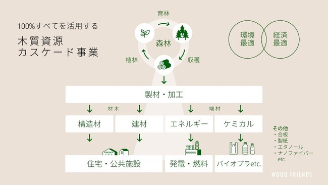 【木質資源カスケード事業】新たに第３工場の稼働を開始のサブ画像4_木質資源カスケード事業の構想