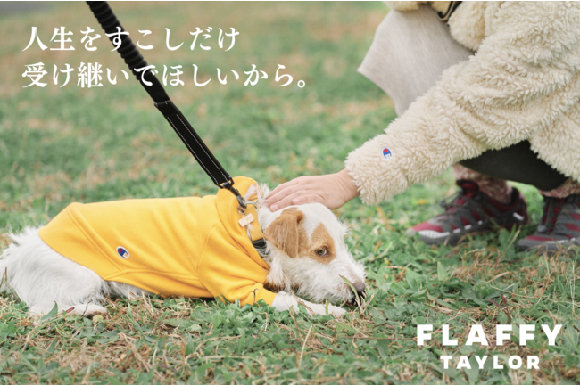 “イヌとヒトの関係をフラットに”「FLAFFY」が、人間の服を愛犬の服にリメイクする「FLAFFY TAYLOR」のサービスを開始のサブ画像2