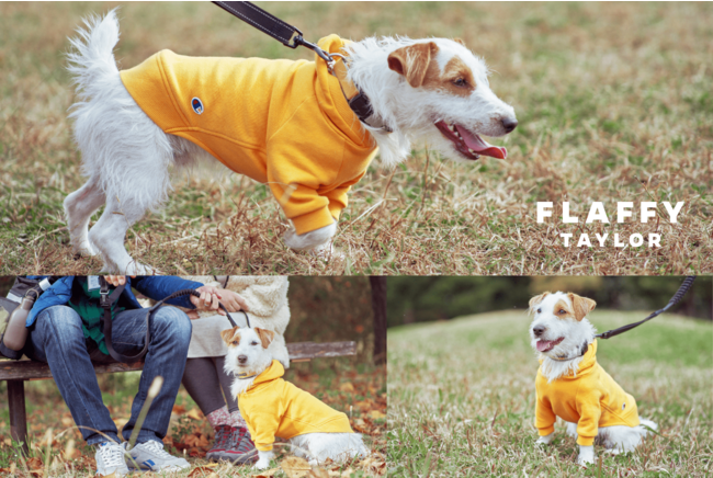 “イヌとヒトの関係をフラットに”「FLAFFY」が、人間の服を愛犬の服にリメイクする「FLAFFY TAYLOR」のサービスを開始のサブ画像9