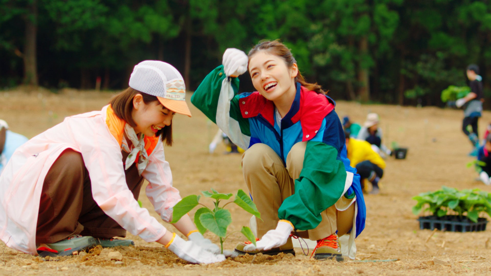 ～総合ビルサービス「大成株式会社」新TVCM～植えた木がオフィス家具に使われる！？小芝風花さん植林を初体験！のサブ画像1