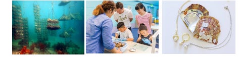 東京大学三崎臨海実験所と横浜・八景島シーパラダイスが知っているようで知らなかった海の多様な生物を解き明かす【２０２２年７月１６日（土）オープン】のサブ画像10