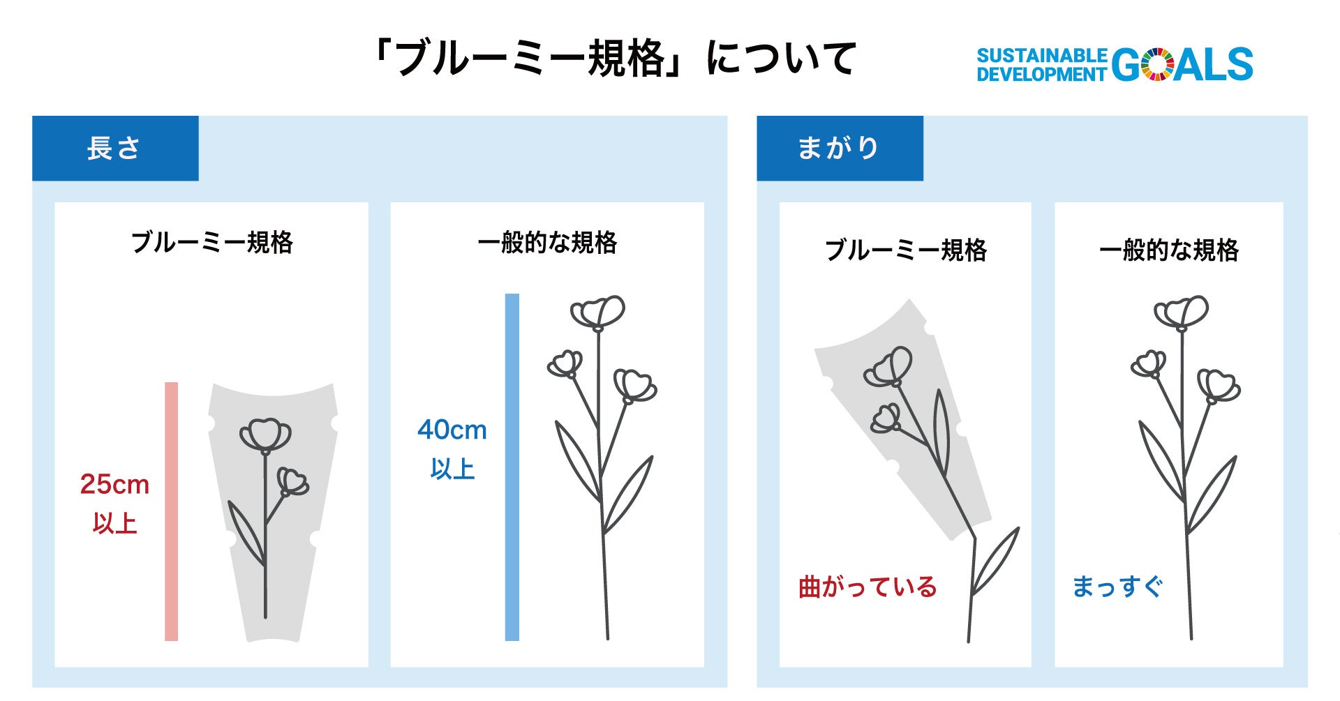 「お花のSDGs」ブルーミーが農林水産大臣賞を受賞のサブ画像4