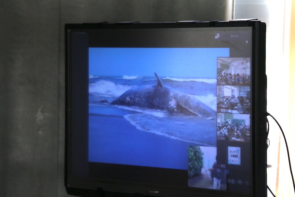 小学校と水族館がつながった！南知多ビーチランドの「オンライン水族館塾」で海の生き物と身近なSDGsを学ぶのサブ画像2_クジラが打ち上げられている動画