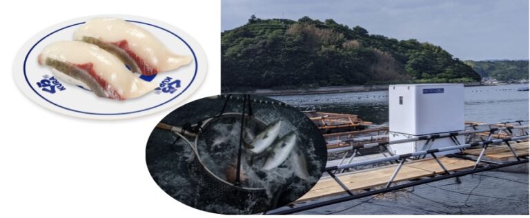 ウミトロン、くら寿司と協働しAIスマート給餌機によるハマチ養殖に日本初成功。「特大切り AIはまち」として、全国くら寿司にて6月24日（金）から限定販売。のメイン画像