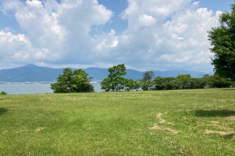 琵琶湖畔に森をつくる『記念植樹』2022年6月25日（土）実施（滋賀県営都市公園湖岸緑地）のメイン画像