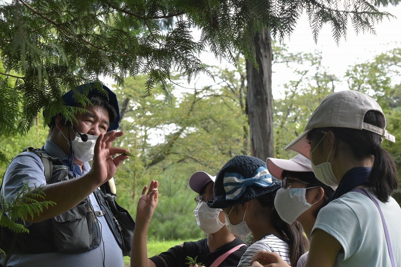 琵琶湖畔に森をつくる『記念植樹』2022年6月25日（土）実施（滋賀県営都市公園湖岸緑地）のサブ画像3