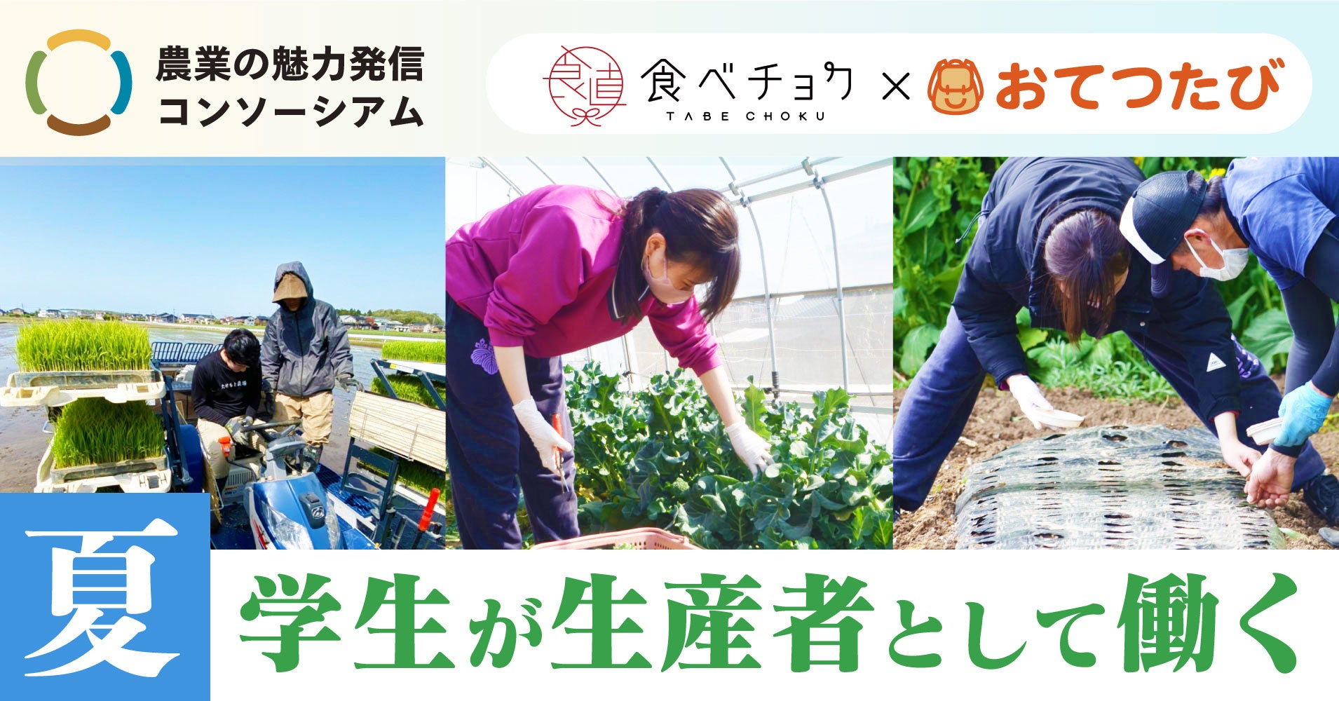 おてつたび「#食べチョクおてつたび “夏”」開催。学生が生産者として働く機会を提供のサブ画像1