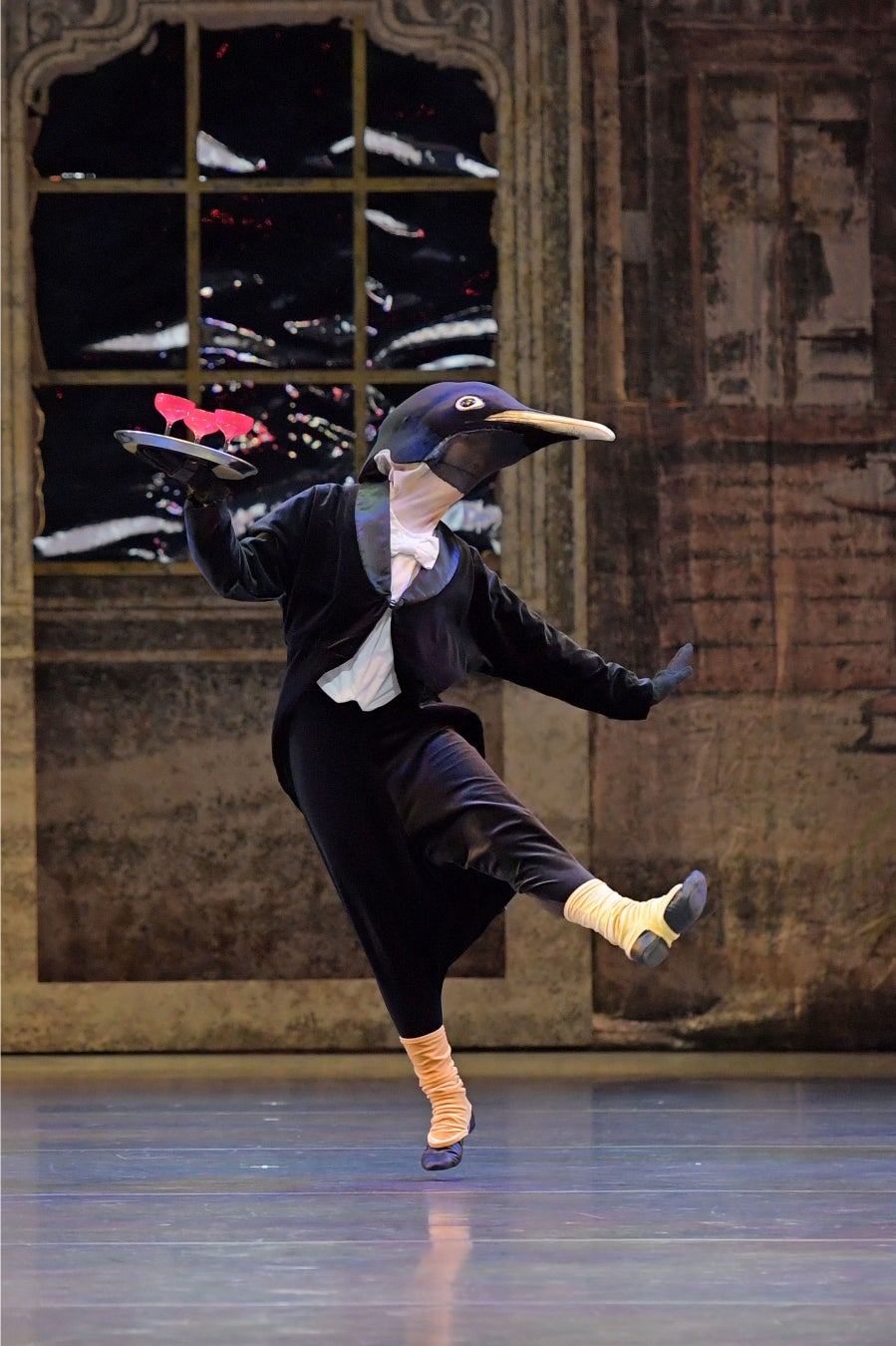 パンダのカンカン・ランランが新国立劇場に！こどものためのバレエ劇場『ペンギン・カフェ』公演・特別展示のご案内のサブ画像2_作品に登場するペンギン（オオウミガラス）撮影：鹿摩隆司