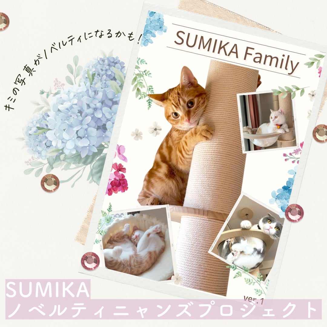 【SUMIKAノベルティニャンズプロジェクト第二弾】秋バージョンのモデル猫ちゃん大募集！のサブ画像1
