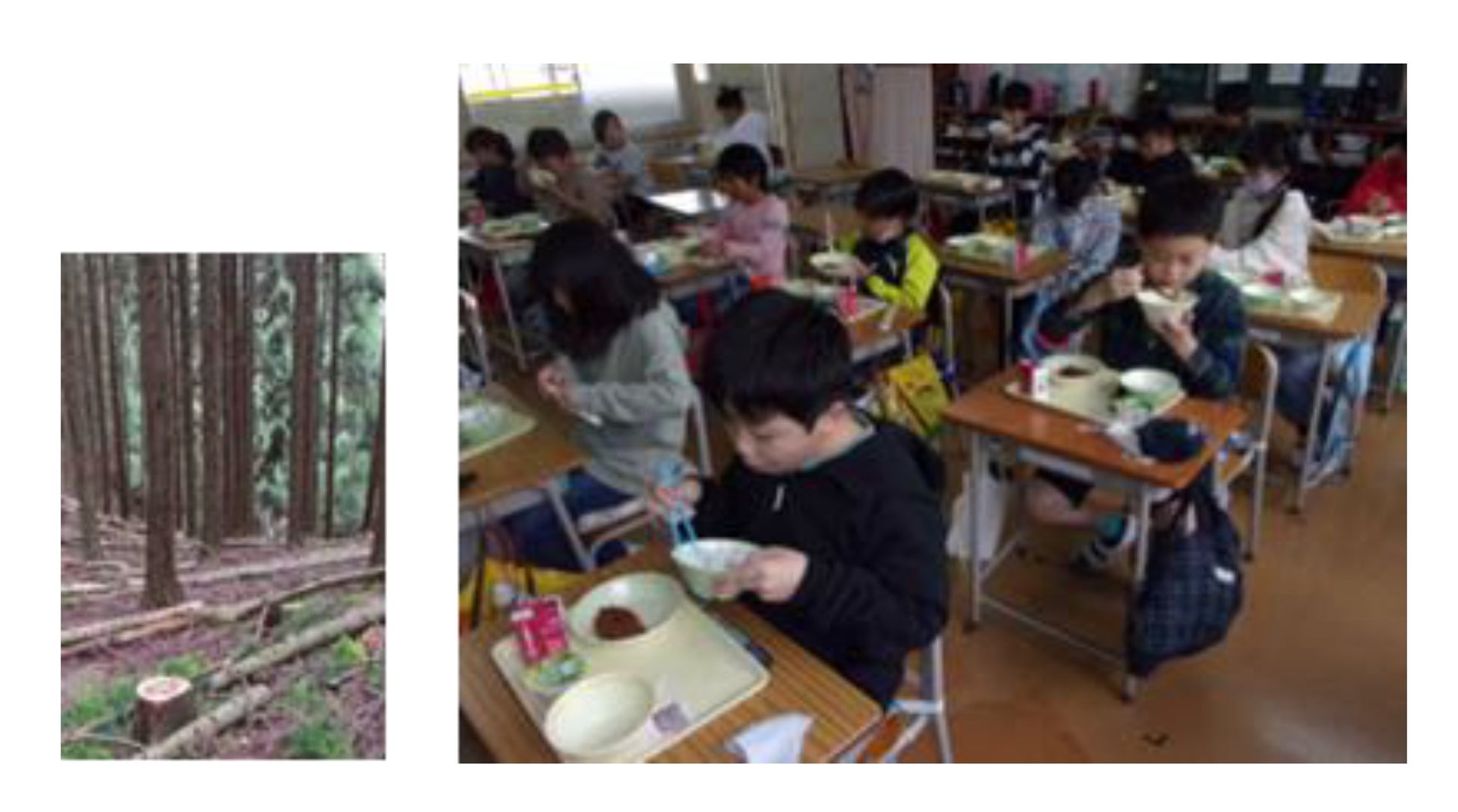 全国初　学校給食の共創プロジェクト　福知山市×パナソニックグループ 公民連携の取組　 共同でSDGs時代の素材を活用した「人と環境に優しい小中学校の給食食器」開発の取組をスタートのサブ画像5