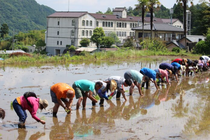 【相模原市】市民参加による純地元産の酒米作りで地域活性化を推進のメイン画像