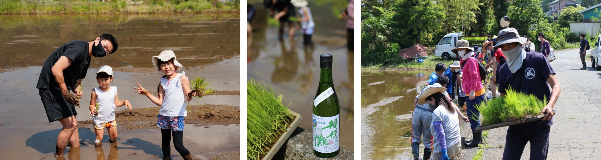 【相模原市】市民参加による純地元産の酒米作りで地域活性化を推進のサブ画像2