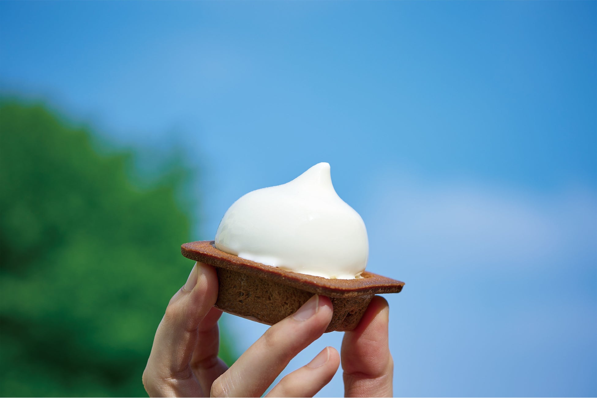 チーズワンダーがソフトクリームと融合！夏草香るハイブリッドチーズケーキ「CHEESE WONDER BLUE」が7月1日より販売開始！のサブ画像4